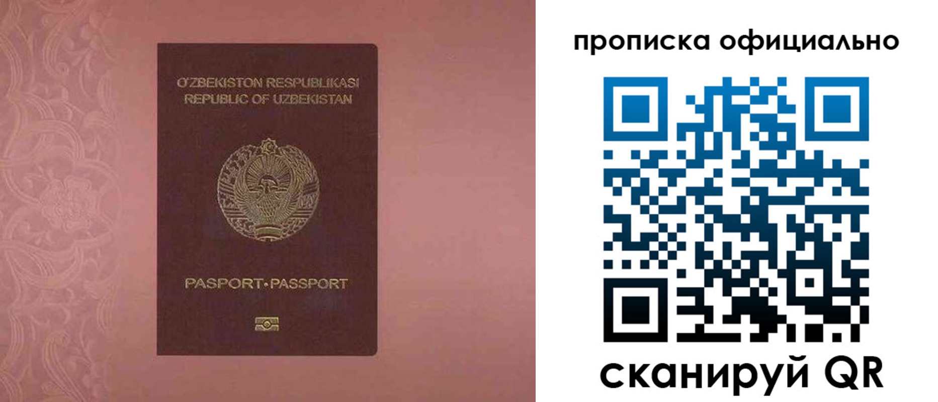 прописка для школы в Боровичах